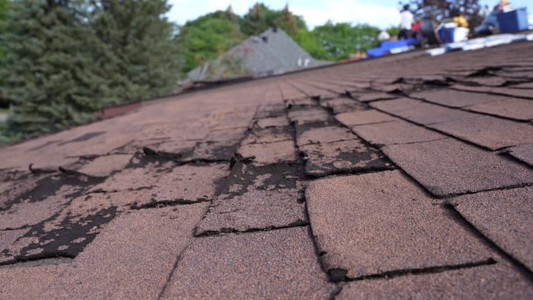 Reliable Bloomfield, NM Roofing Service Solutions