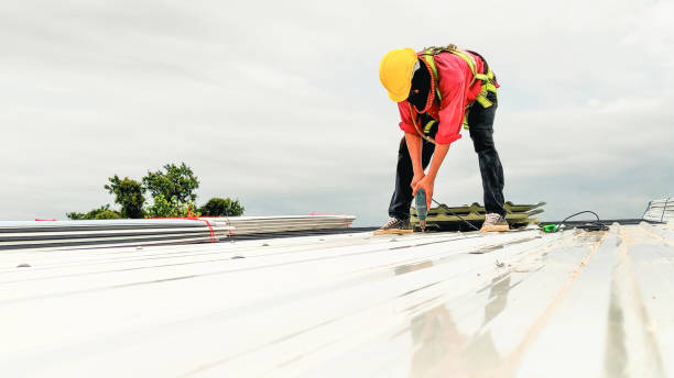 Best Roof Ventilation Installation  in Bloomfield, NM