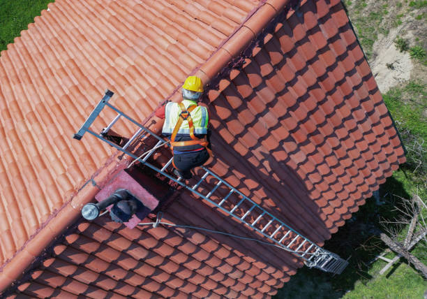 Best Asphalt Shingles Roofing  in Bloomfield, NM