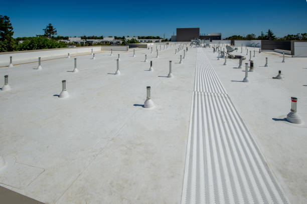 Best Asphalt Shingle Roofing  in Bloomfield, NM